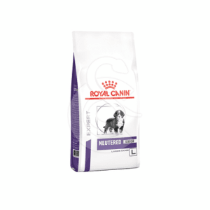 Dog Junior Neutered Large