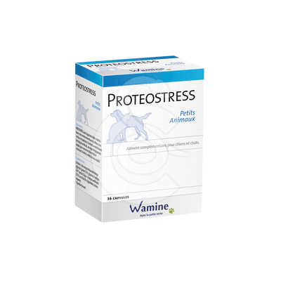 Proteostress PA