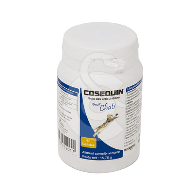 Cosequin Chat