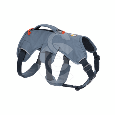 Harnais Ruffwear Web Master