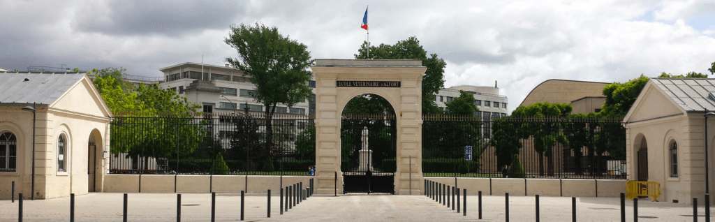 Rencontre avec la nouvelle génération vétérinaire! VETINPARIS x PROVETO Junior x AFVAC junior