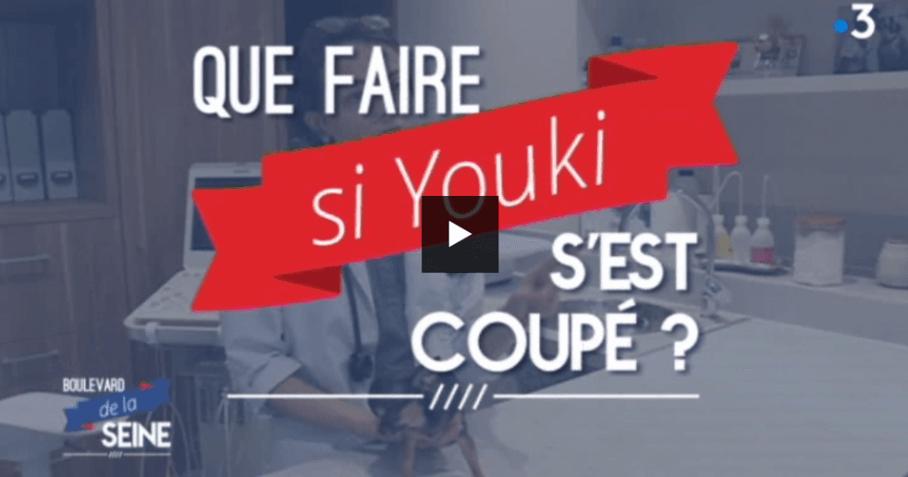 VETINPARIS sur FRANCE 3 avec les gestes qui sauvent!