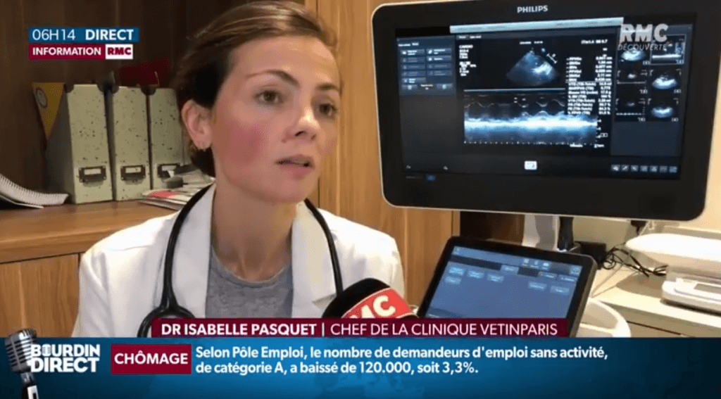 Bien être animal: Les pistes de réforme du Gouverment sur RMC BFM TV