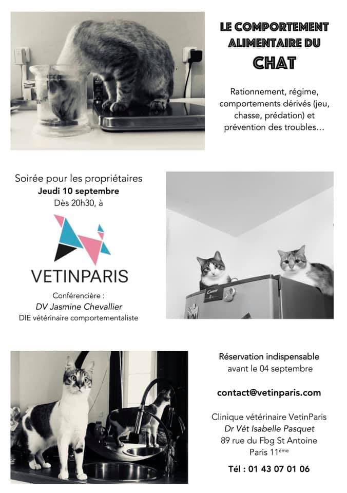 Soirée "Comportement du Chat" : à vos agendas!
