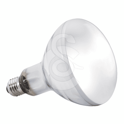 Ampoule Solar Glo UVA/UVB pour reptiles