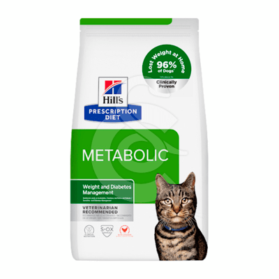 Chat Metabolic Poulet