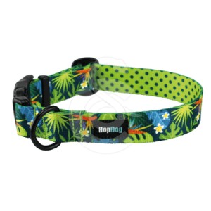 Collier Hop Dog Tropics Time