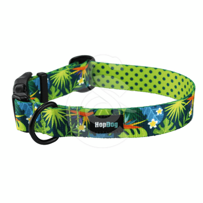 Collier Hop Dog Tropics Time