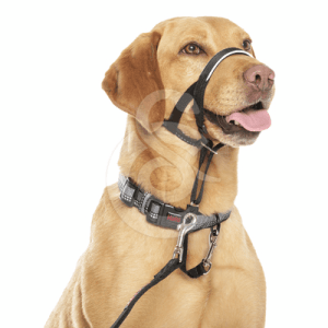 Collier de contrôle Halti