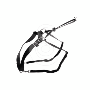 Collier éducation MaxiLeader