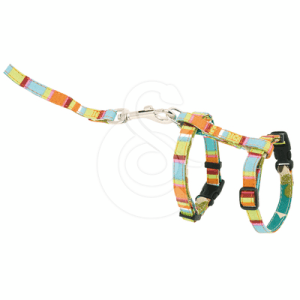 Ensemble harnais/laisse chat Hunter