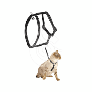 Ensemble harnais/Laisse chat Bobby Safe