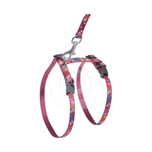 Ensemble harnais/Laisse chat Art Sportiv