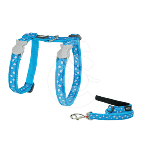 Ensemble harnais/Laisse chat Red Dingo