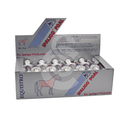 Equistro Ipaligo Foal