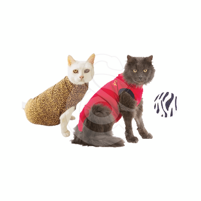 Gilet Pet Shirt pour chat