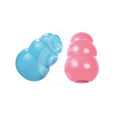 KONG Puppy