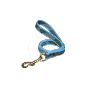 Laisse Difac Color Gomme