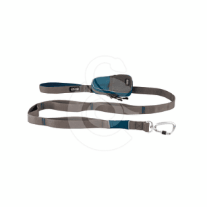 Laisse Dog Copenhagen Urban Trail