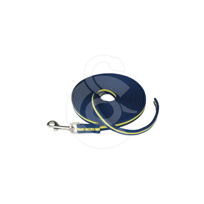 Longe de rappel Coachi pour chien