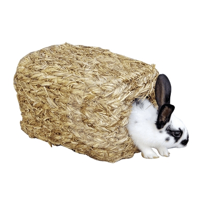 Maisonnette végétale pour lapins nains, cochon d'inde...