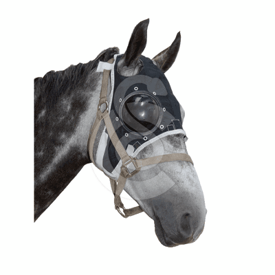 Masque de protection oculaire Equivet
