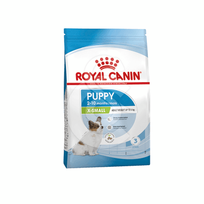 Dog Puppy X-Small