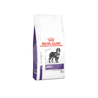 Dog Adult Large