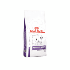 Dog Neutered Adult Small Dog