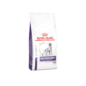 Dog Neutered Adult Medium