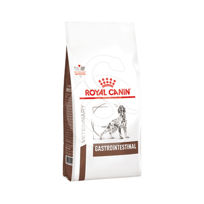 Dog Gastrointestinal