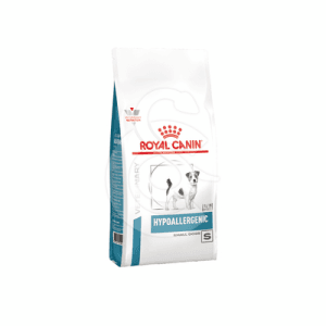 Dog Hypoallergenic Small Dog