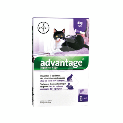 Advantage 80 Chat/Lapin