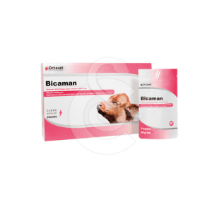Bicaman