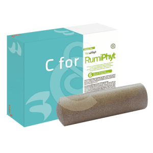 C For Rumiphyt