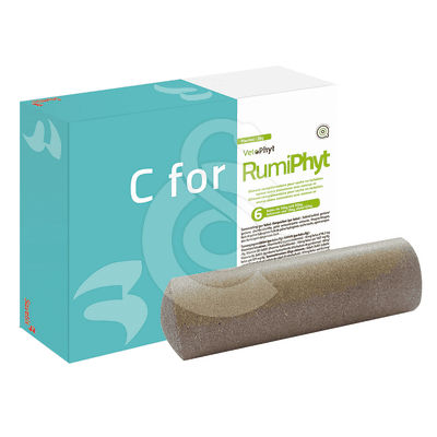 C For Rumiphyt