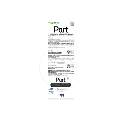 C For Part