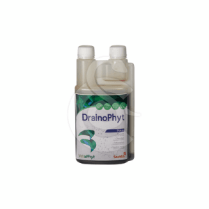 Drainophyt
