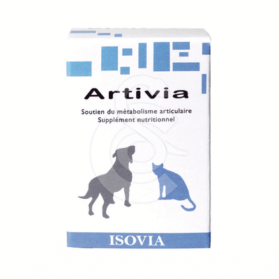 Artivia