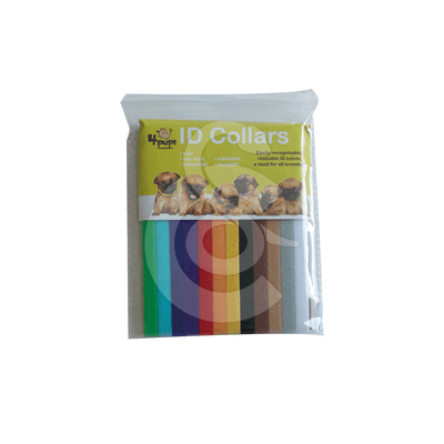 Collier identification chiot