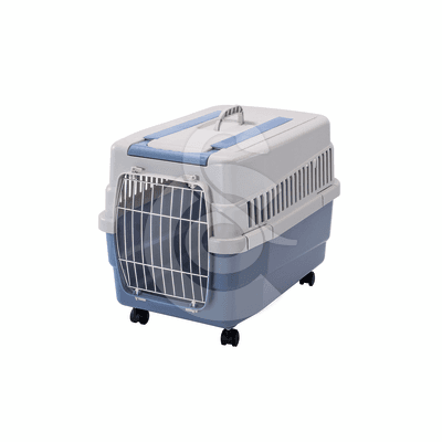 Cage Kim sur roulettes