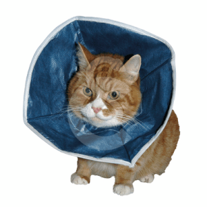 Carcan souple Buster Soft Collar UU