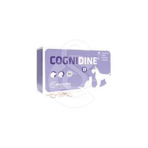 Cognidine