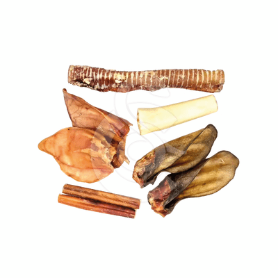 Friandises pack mastication Forte