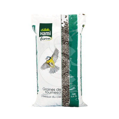 Graines de Tournesol