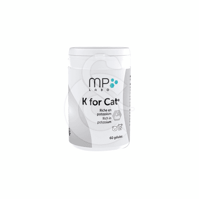 K For Cat