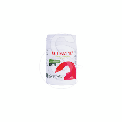 Lithamine Chat