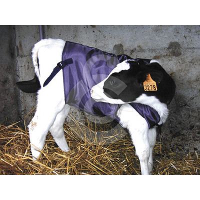 Manteau polaire pour veaux