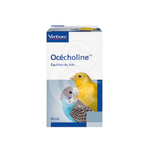 Océcholine
