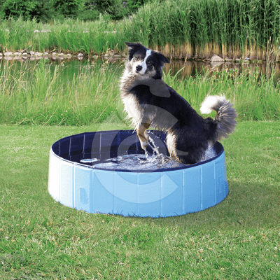 Piscine pour chien Trixie